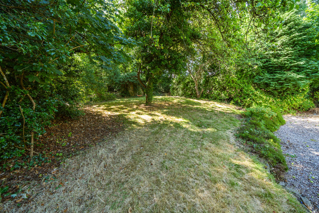 Garden- click for photo gallery